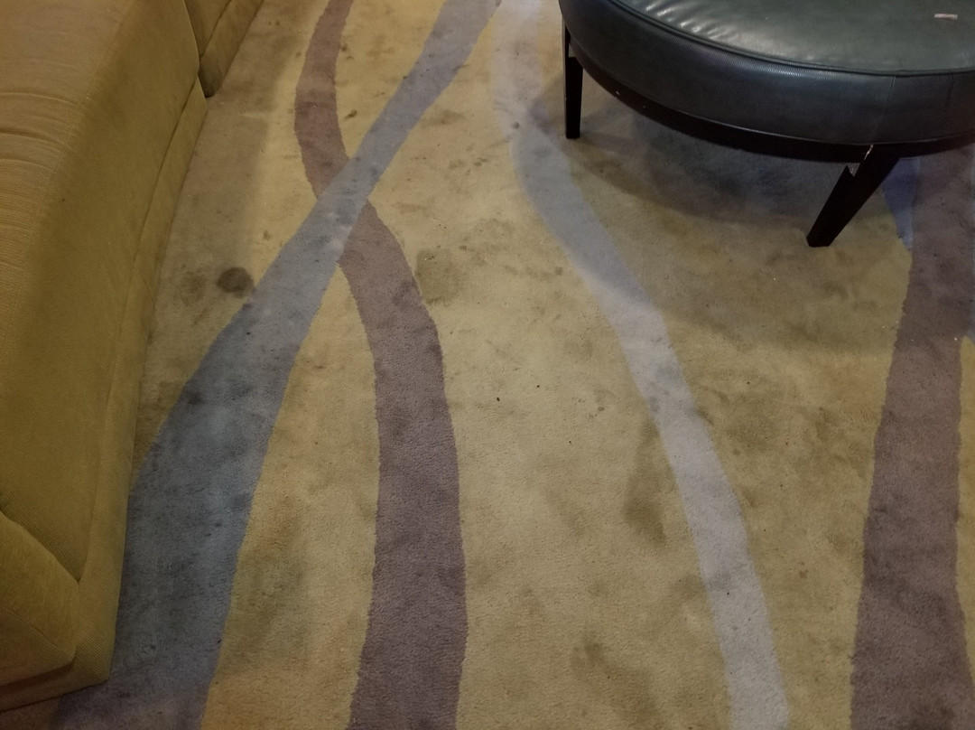 Holiday Inn Toledo-maumee (i-80/90) By IHG主图