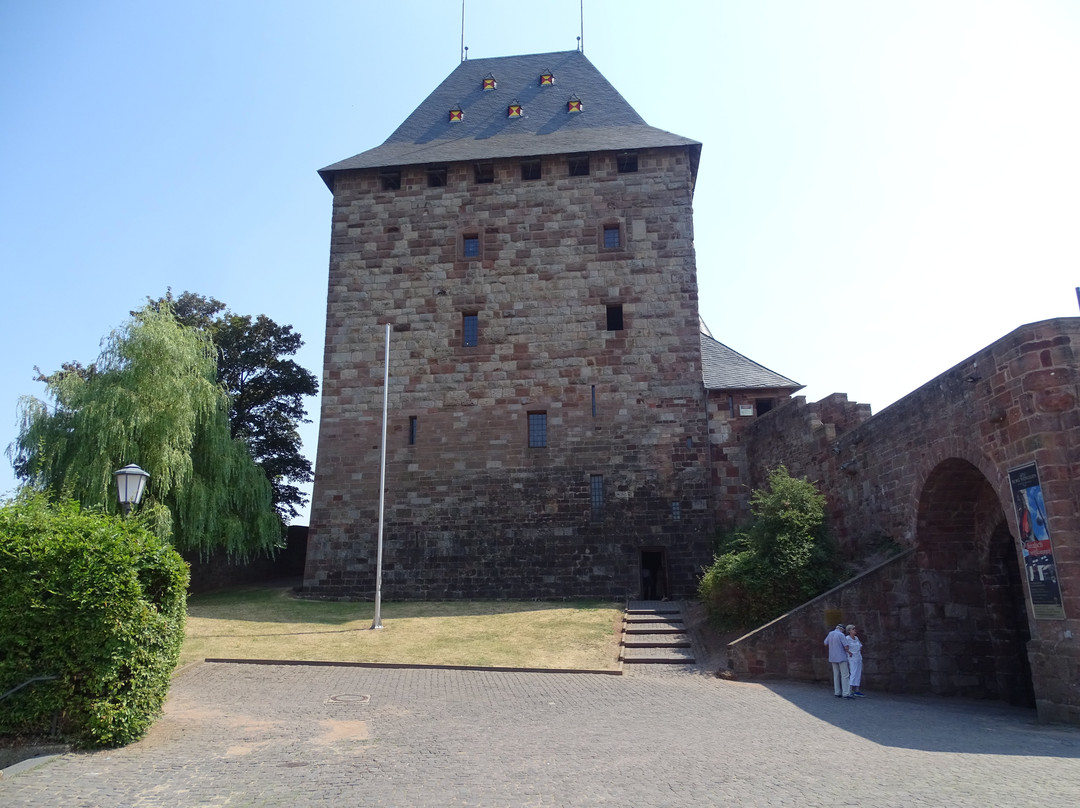 Burg Nideggen景点图片