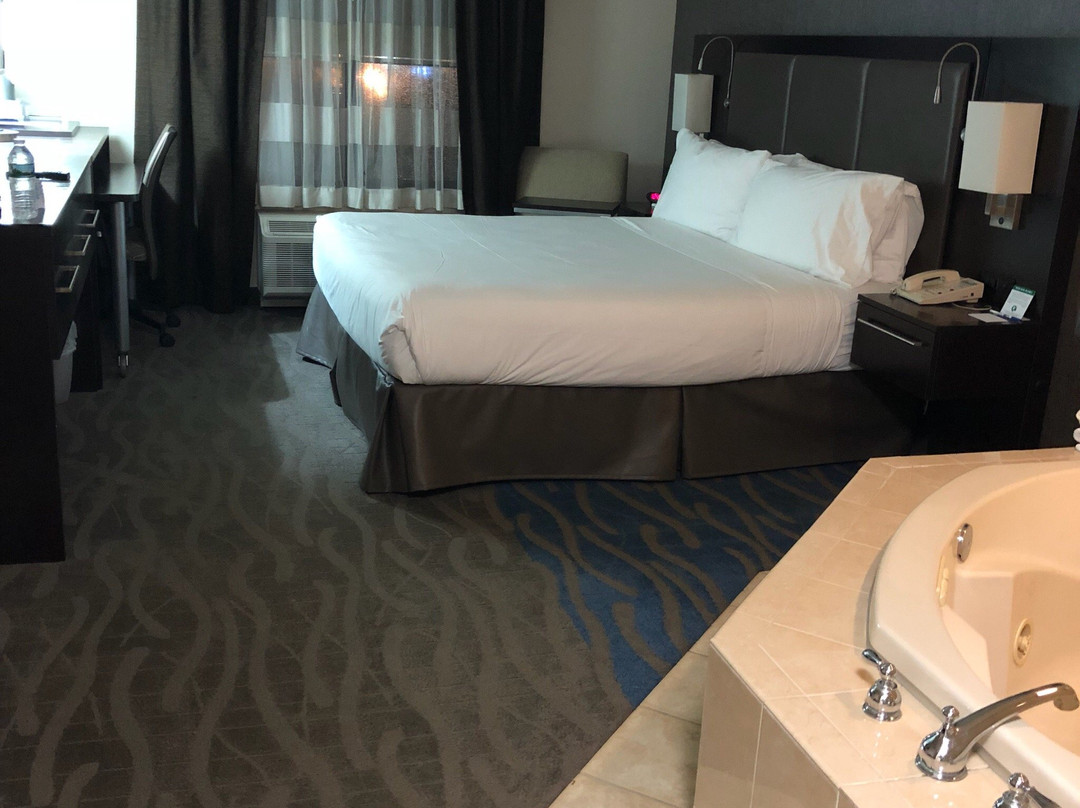 Holiday Inn Express & Suites Meadowlands Area By IHG主图