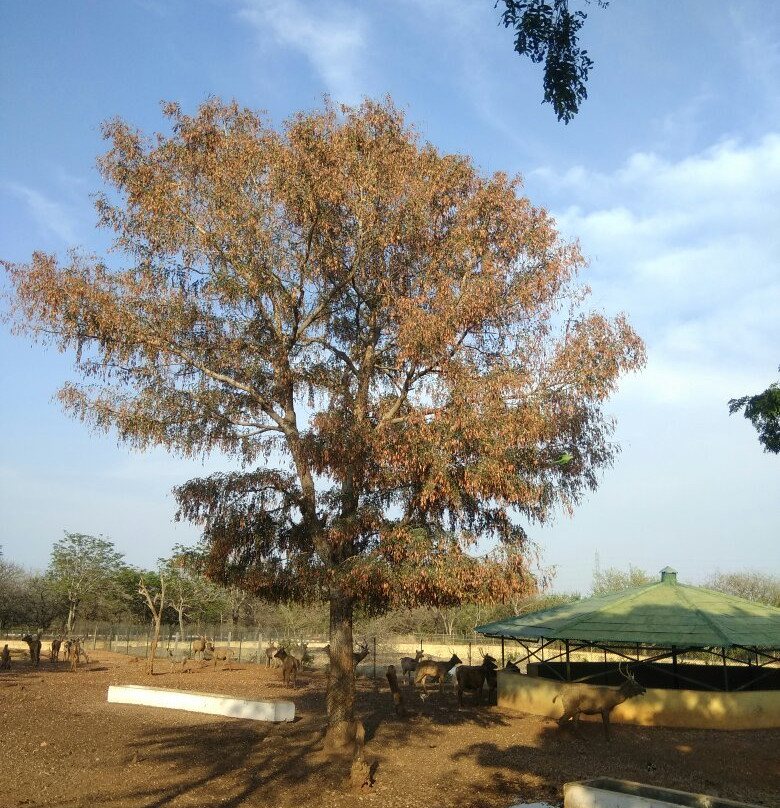 Gadag Zoo-Gadag必去景点