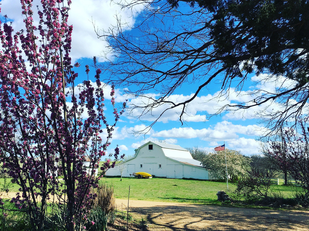 Edg-Clif Vineyard, Winery & Brewery景点图片