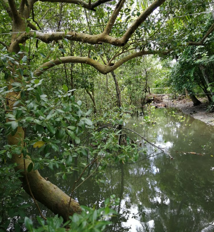 Navitas Beach-Numancia必去景点