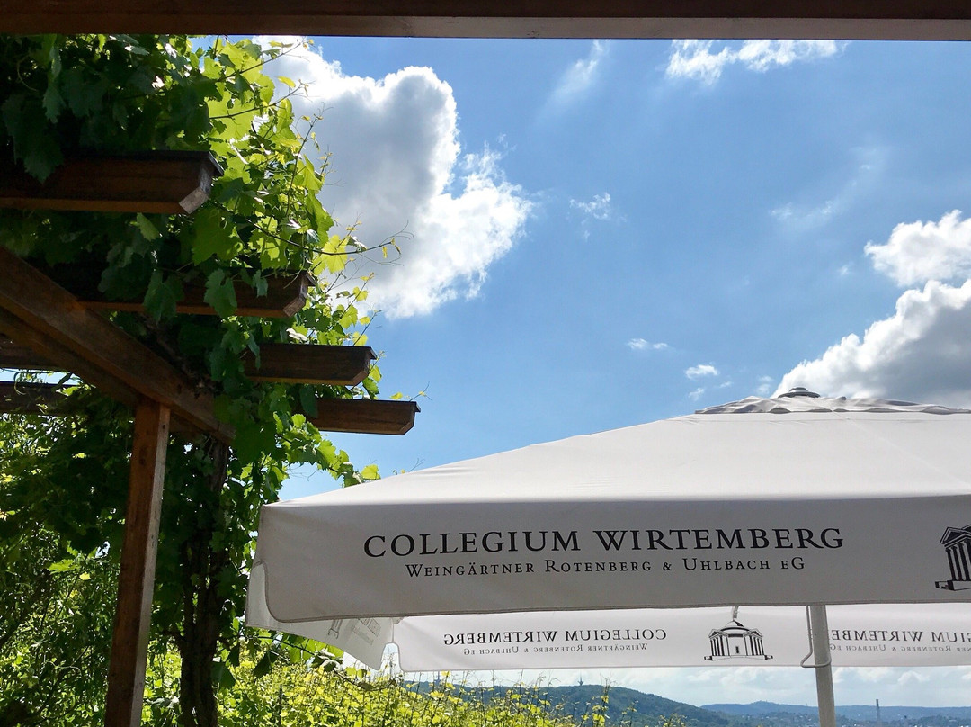 Collegium Wirtemberg景点图片