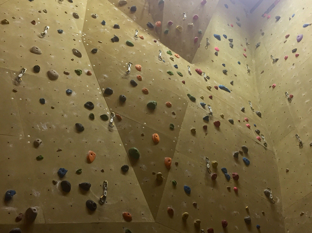Brookes Sport景点图片