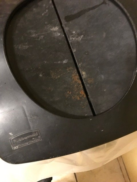 Comfort Inn Pine Grove主图