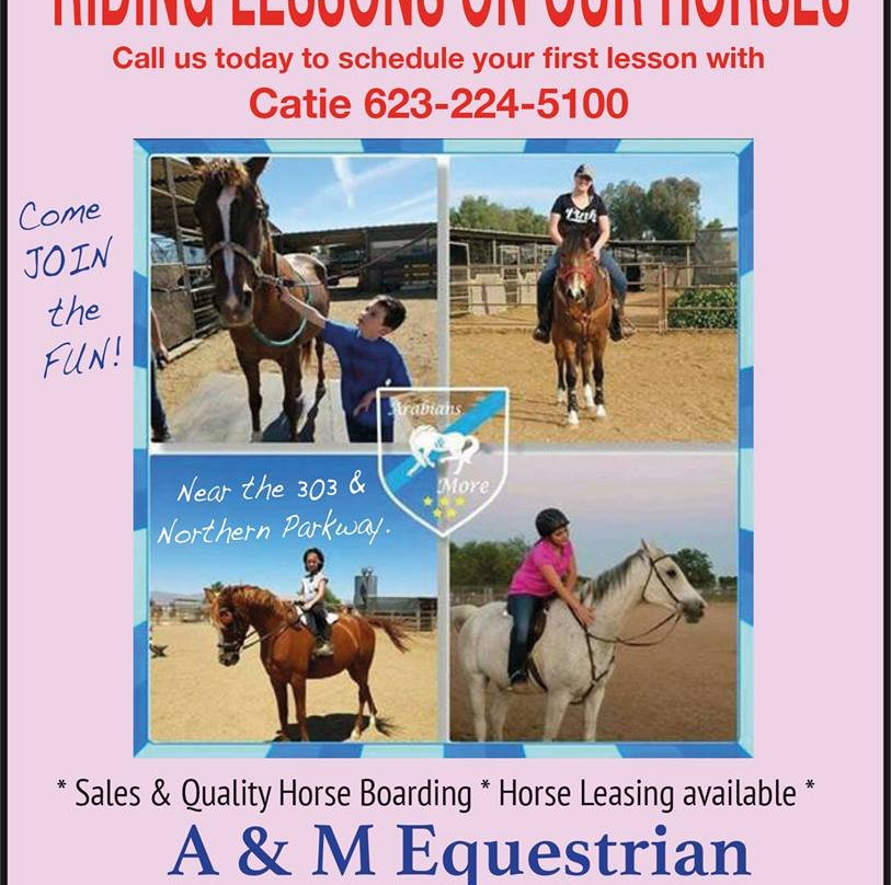 Arabians and More-Litchfield Park必去景点