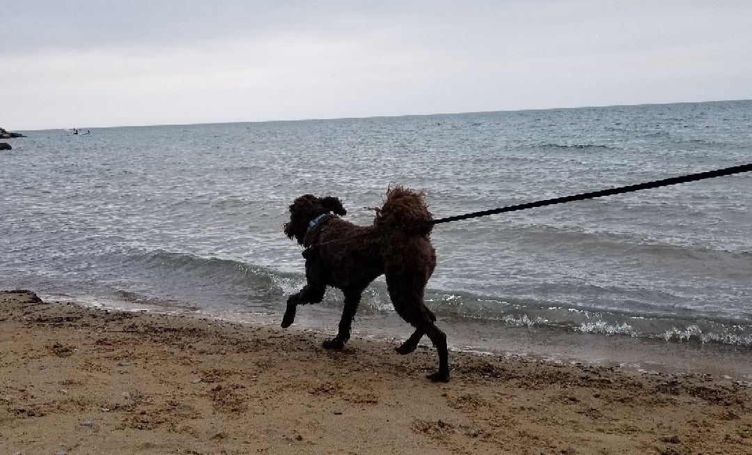 Northwinds Beach-蓝山必去景点