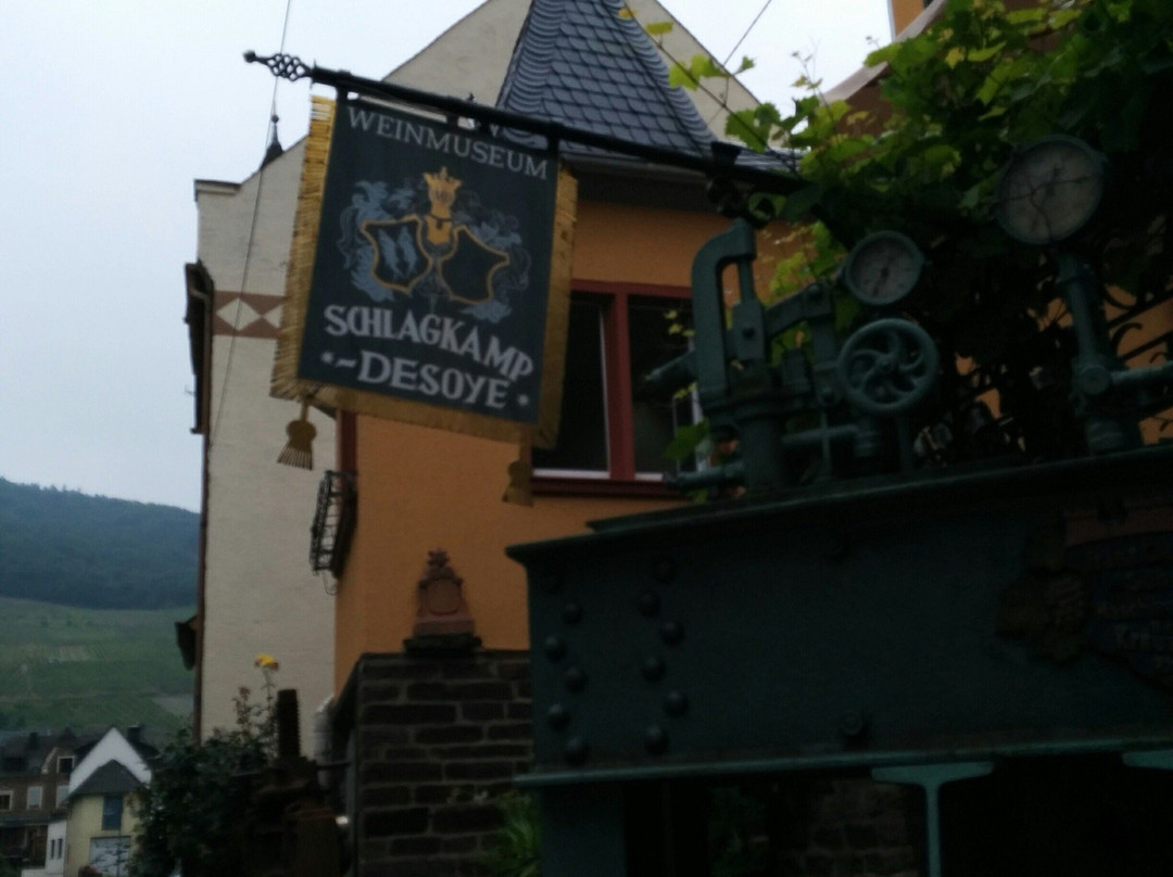 Schlagkamp Weinmuseum景点图片