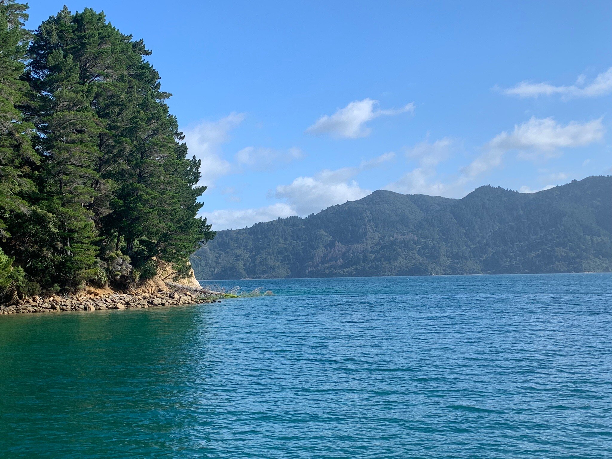 Tawa Cove Cabins-官方