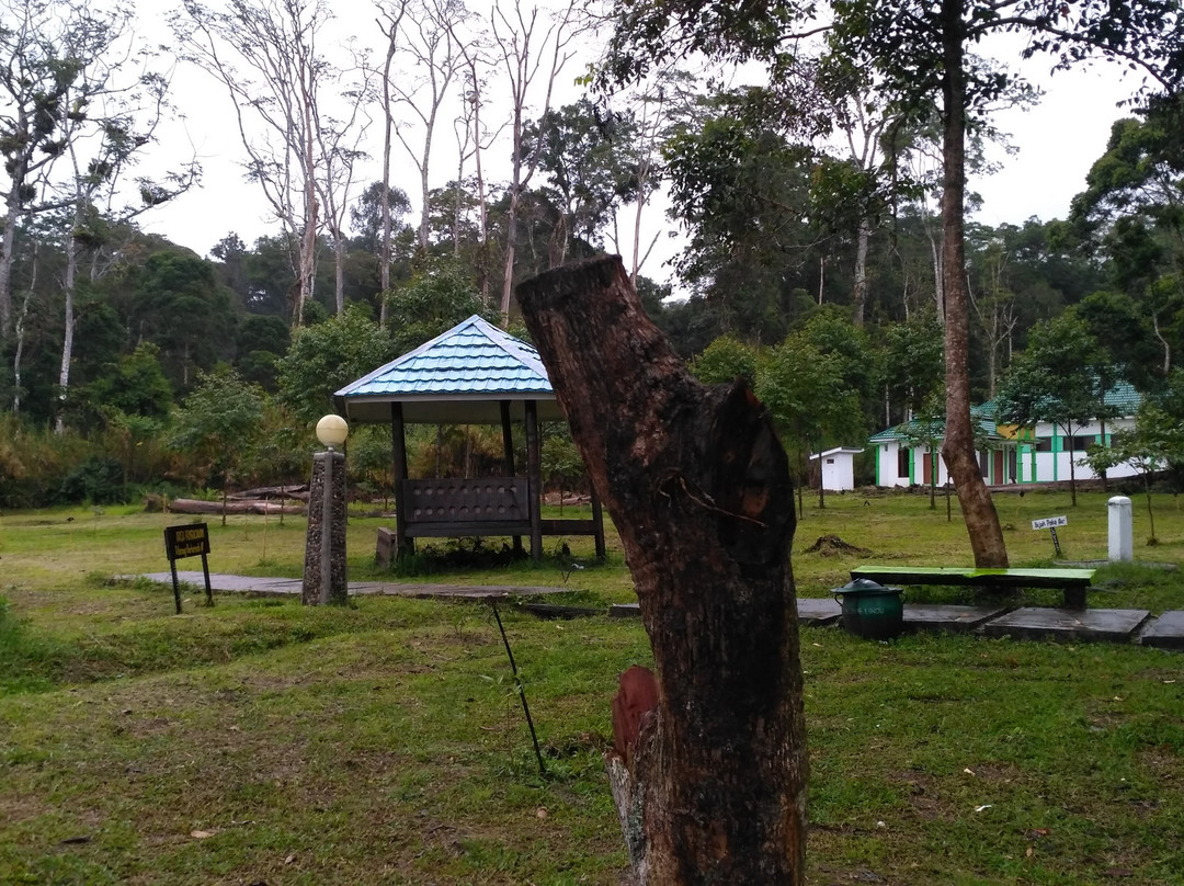 Tambing Lake景点图片