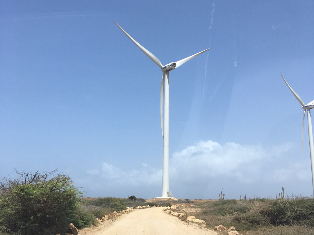 Vader Piet Wind Farm-Santa Cruz必去景点