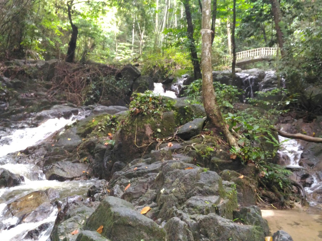 Sungai Tekala Recreation Forest景点图片