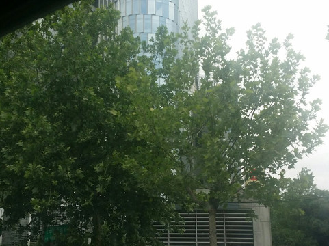 绿地中心紫峰购物广场-南京市必去景点