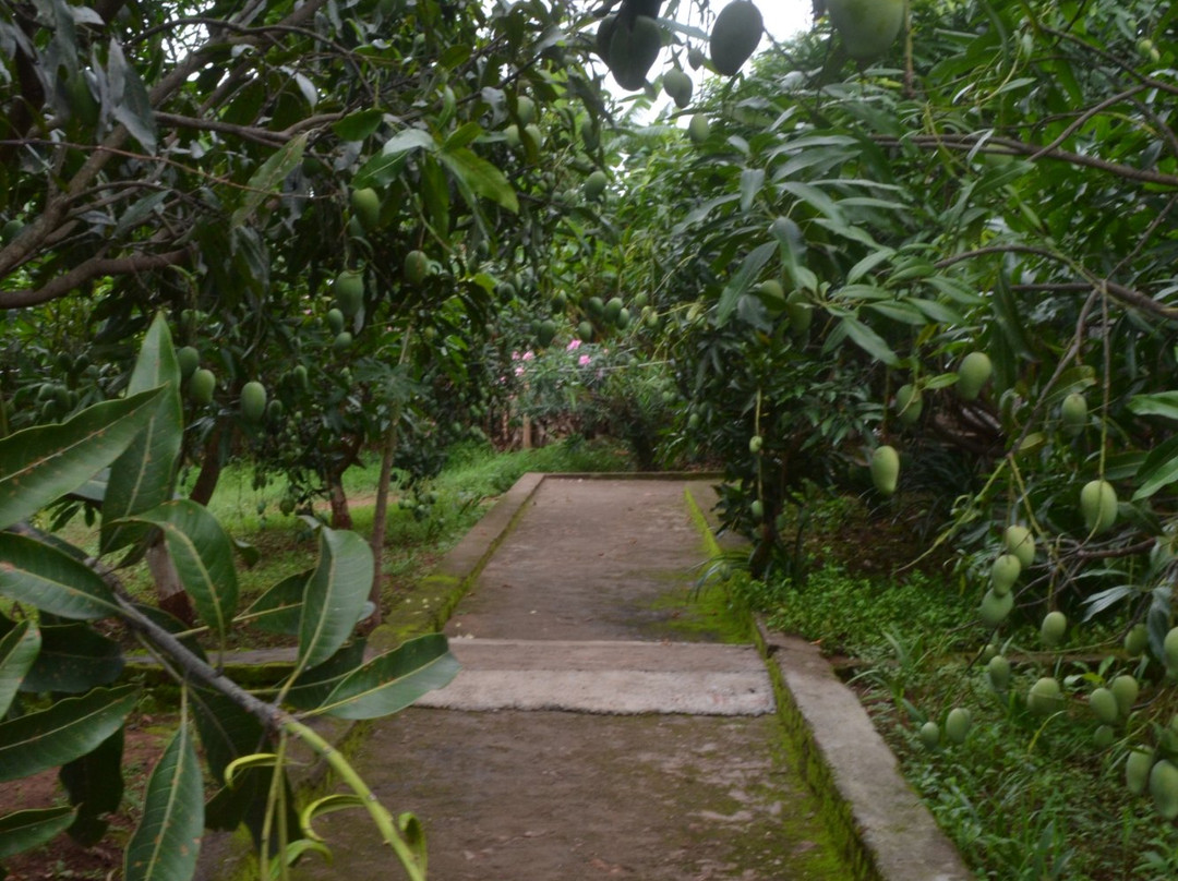 Deers Eco Home主图