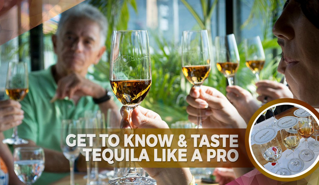 Discover Mexico Park Cozumel-考祖梅必去景点