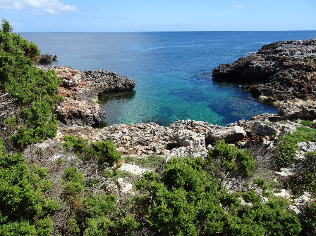 Cala'n Bosch