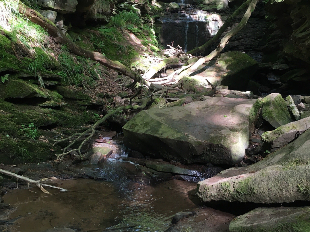 Margarethenschlucht-Neckargerach必去景点