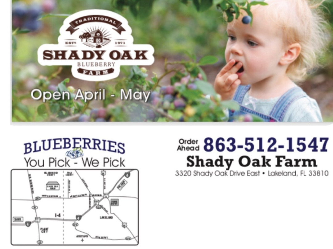 Shady Oak Farm景点图片