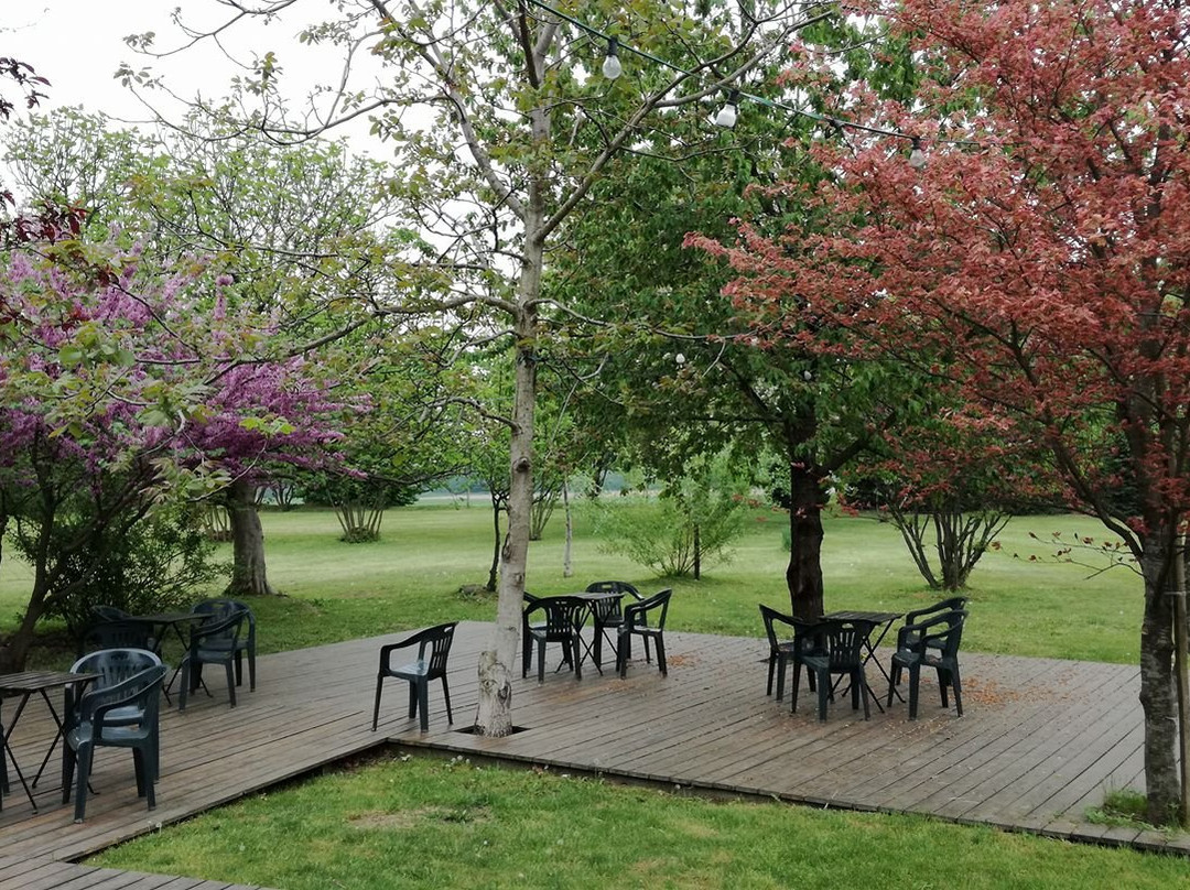 Agriturismo La Sforzata主图