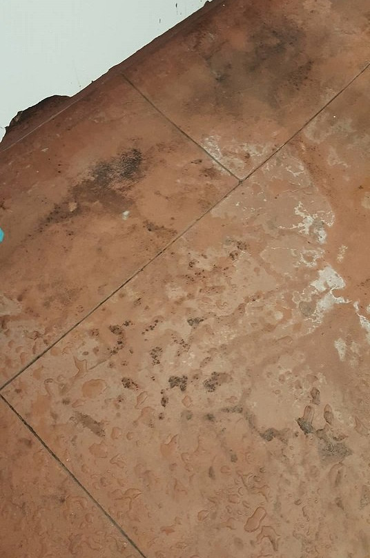 Marina Court Motels And Apartments主图