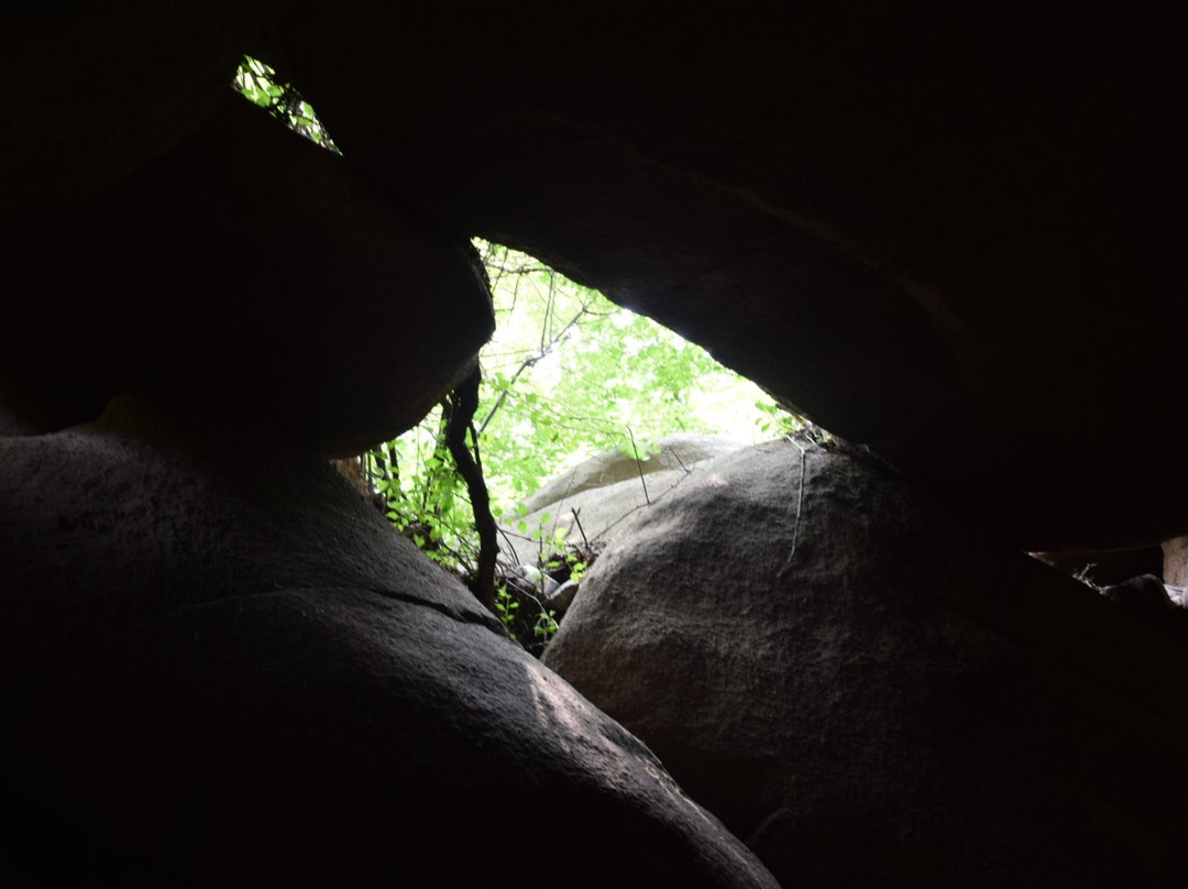 淄博鲁山国家森林公园-淄博市必去景点