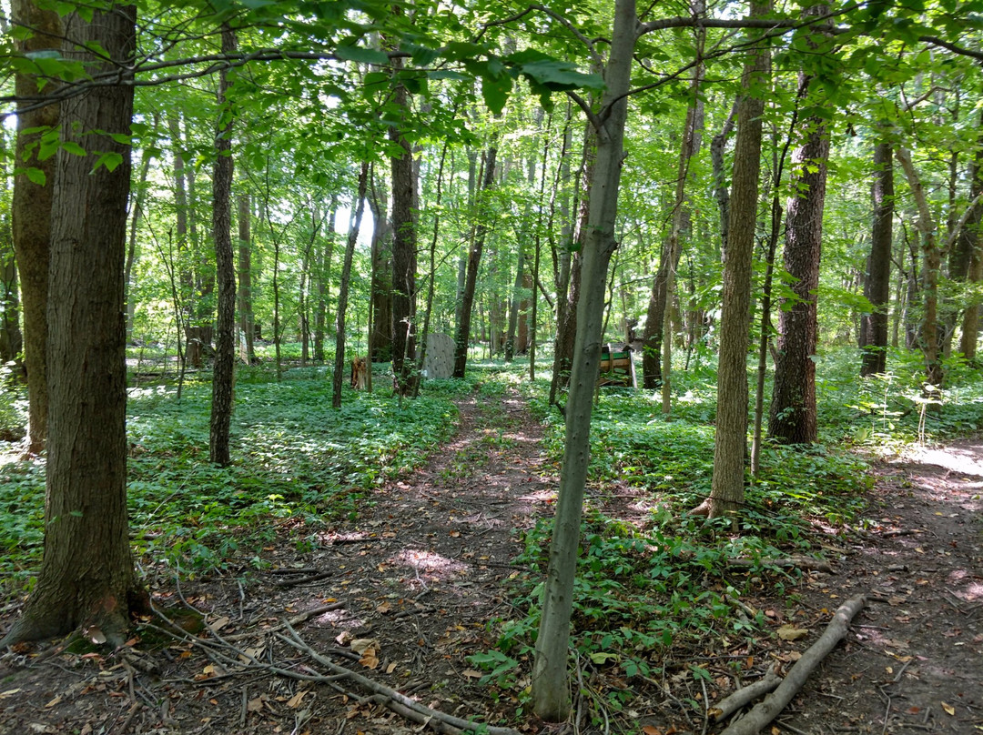 DarkFire Airsoft-Coldwater必去景点