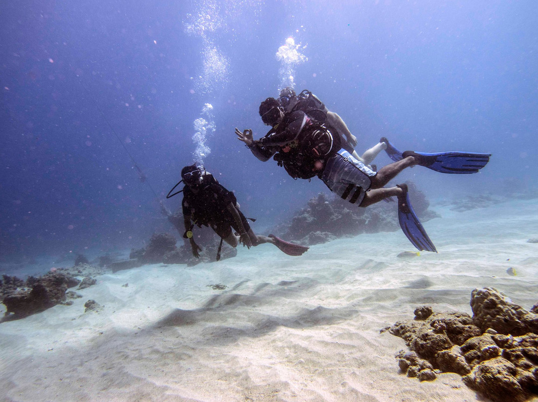 Just Diving景点图片