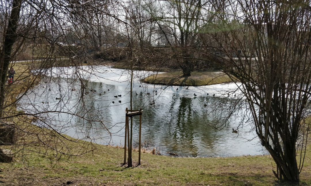 Zwirowisko Park景点图片