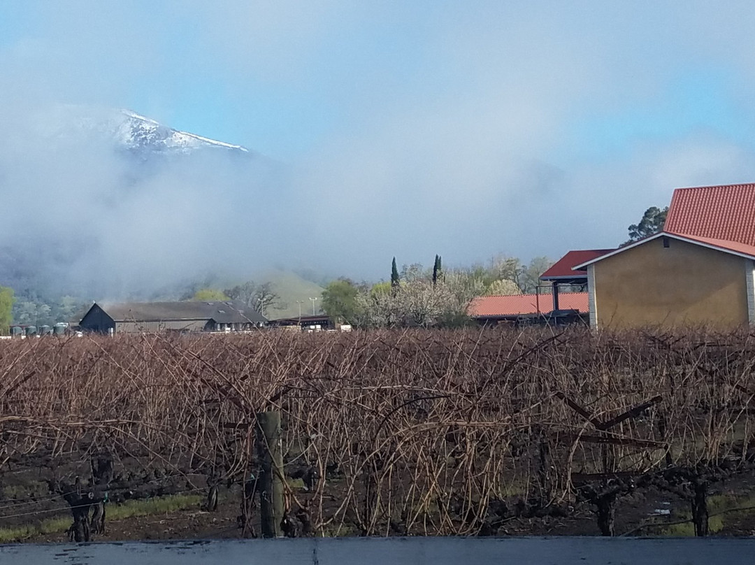 Summers Winery-卡利斯托加必去景点