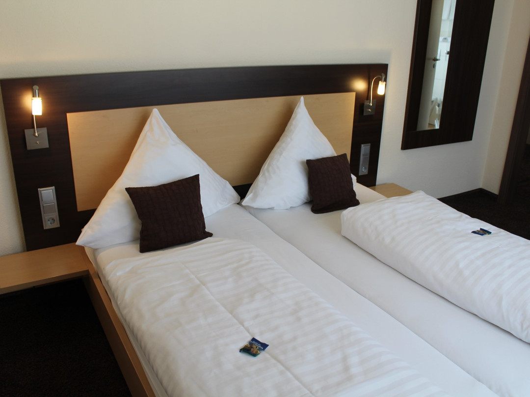 Hotel Berkheimer Hof主图