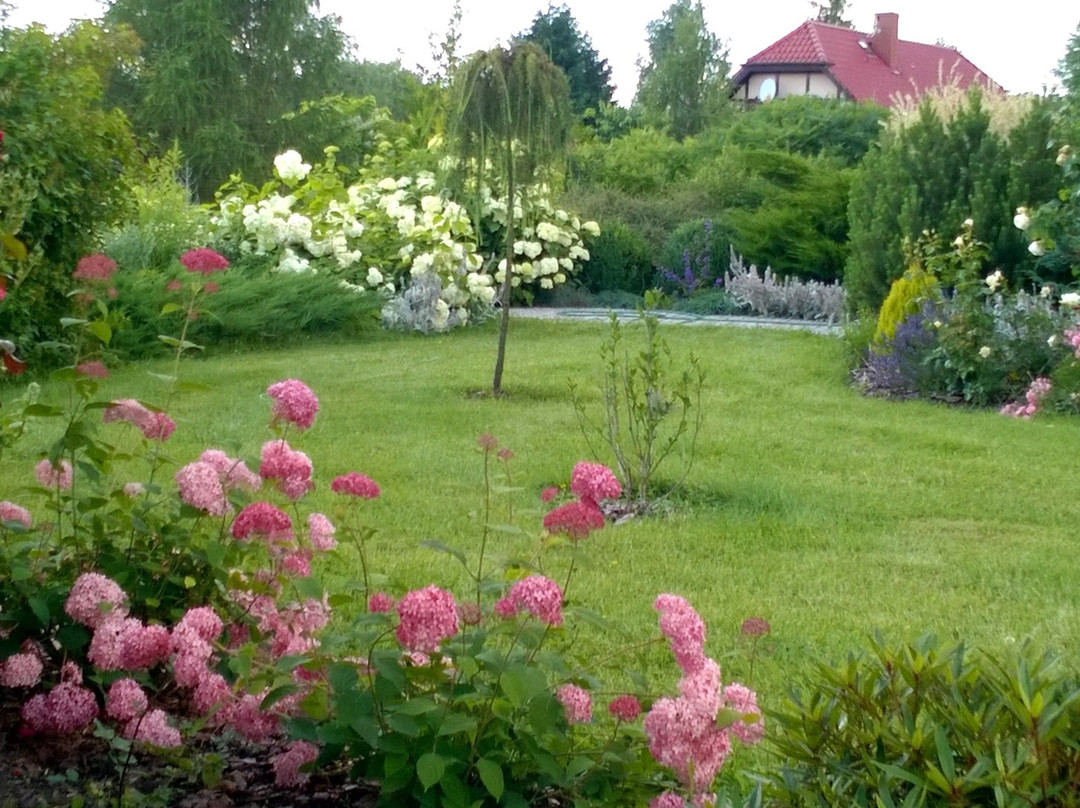 Villa Orlik Ecopension主图