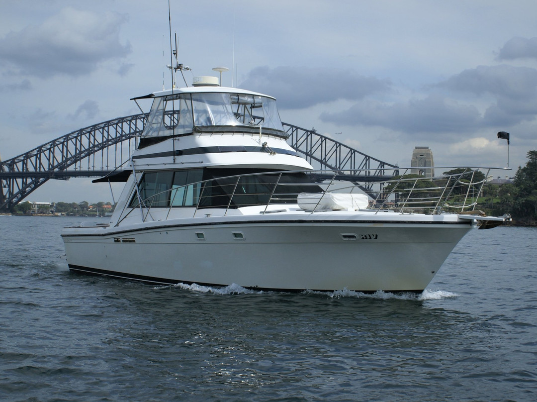 Sydney by Boat景点图片