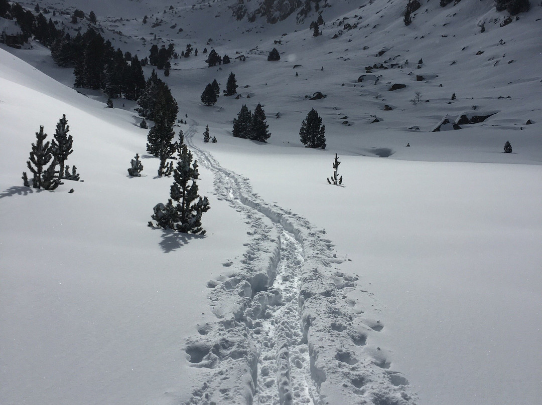 DidacGuide Mountain Ski Canyoning景点图片