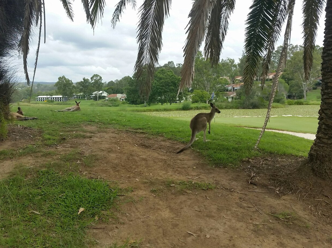 Kooralbyn Valley Golf Course-Kooralbyn必去景点