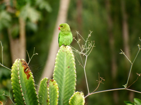Lake Hayq-Dessie必去景点