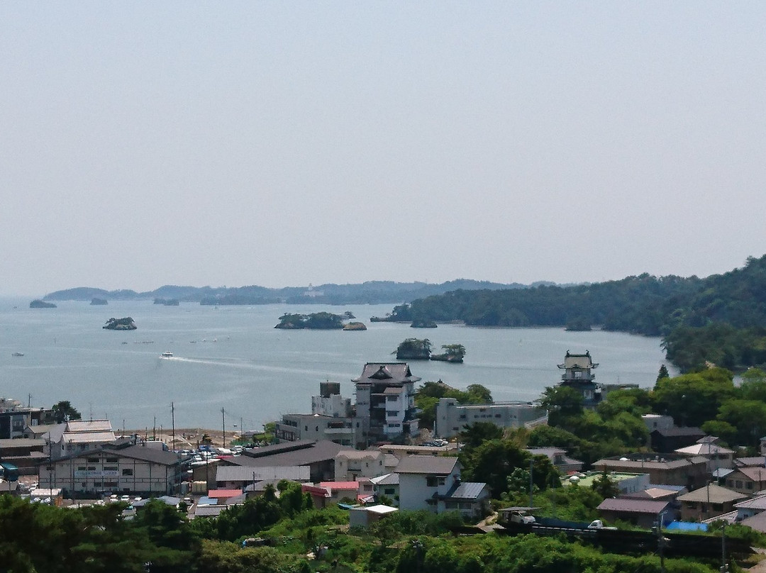 Shin Tomiyama Viewing Platform-松岛町必去景点
