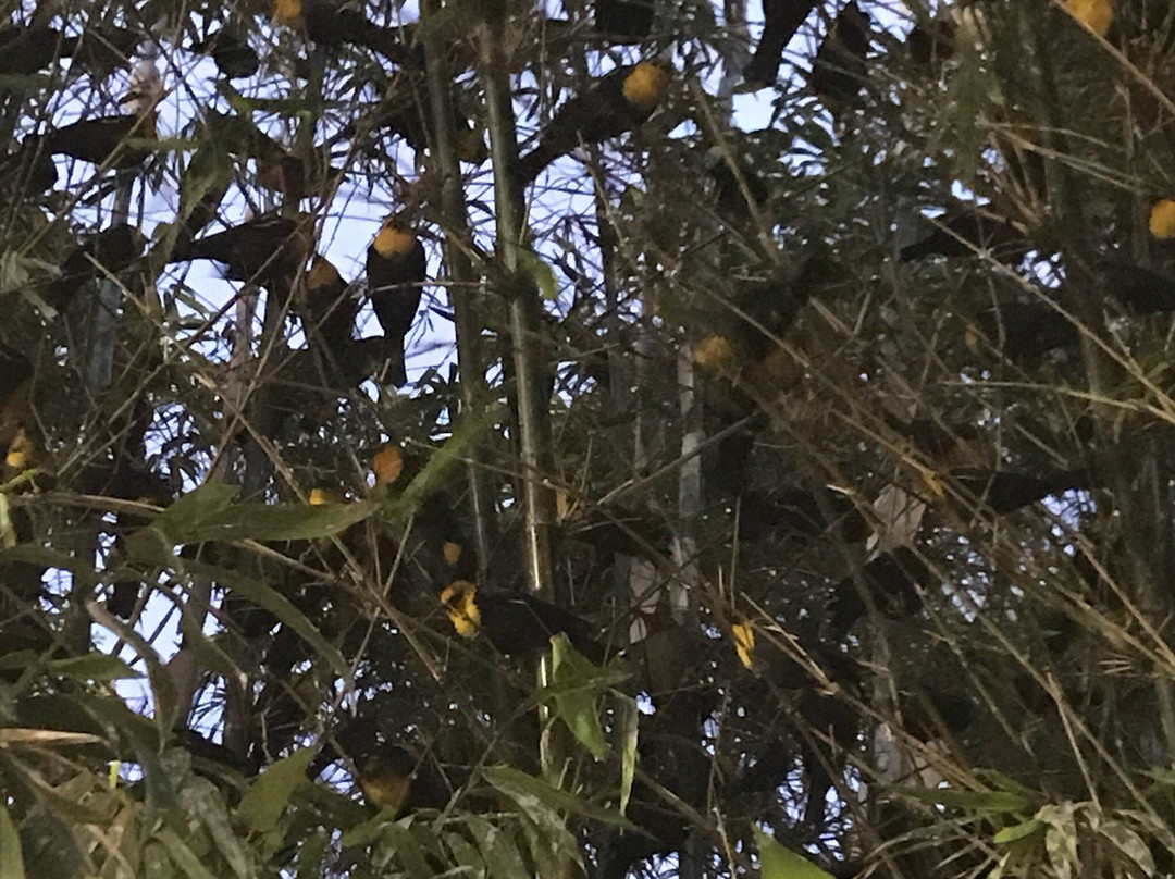 Bosque Venustiano Carranza-Torreon必去景点