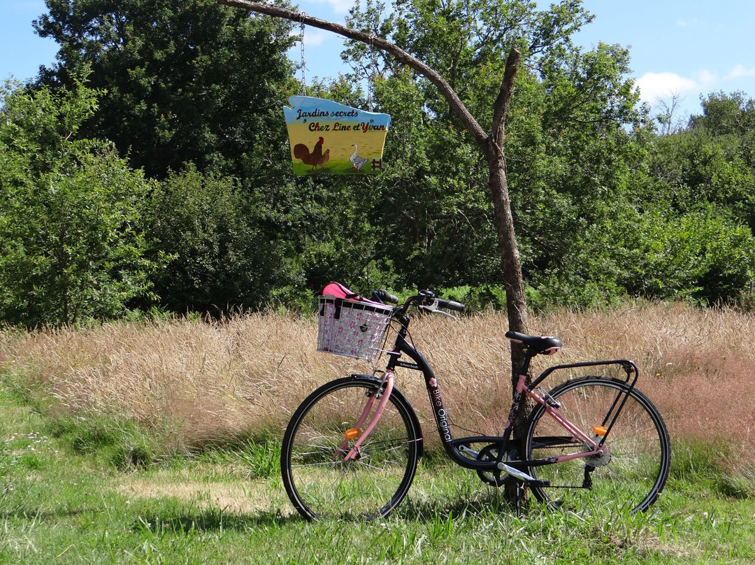 Jardins secrets主图