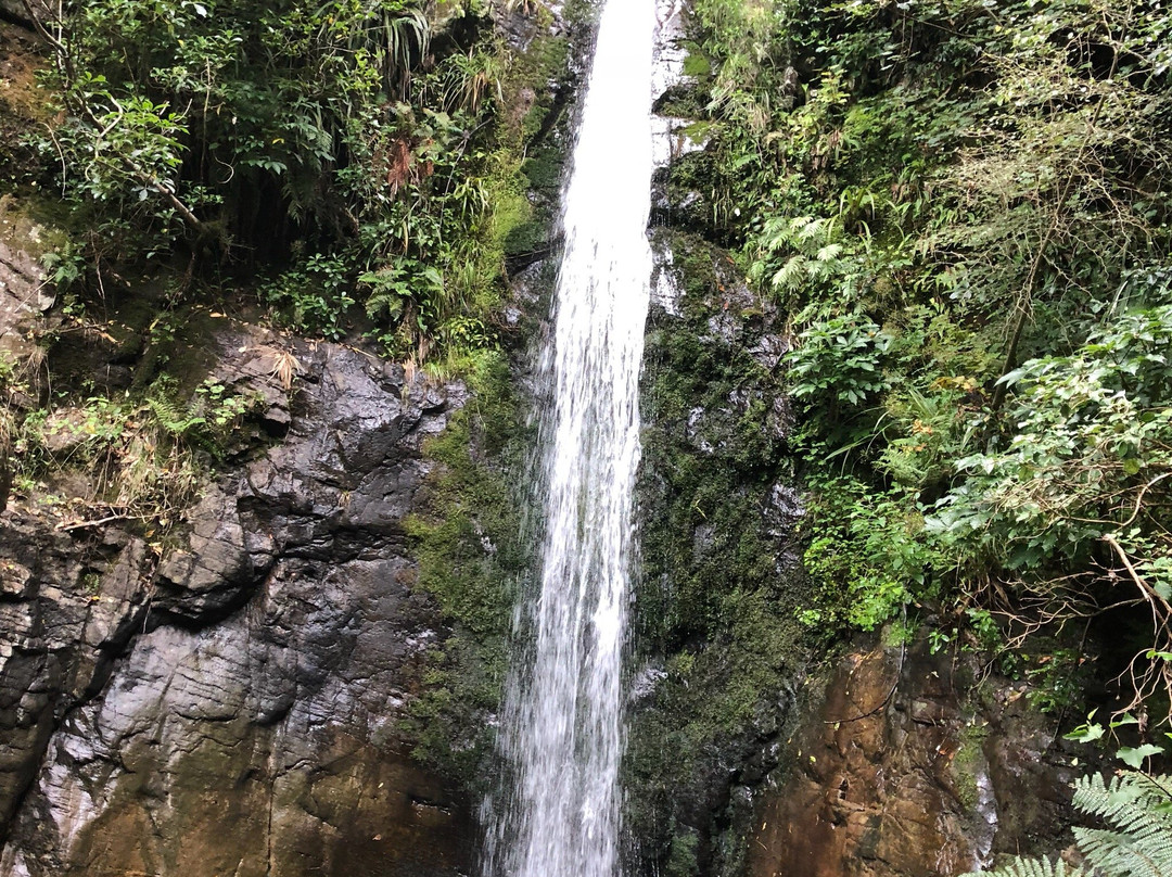 Darfield旅游攻略图片