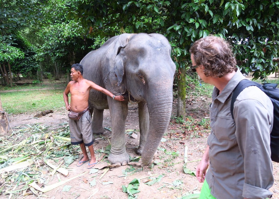 Tongdee Elephant Camp景点图片