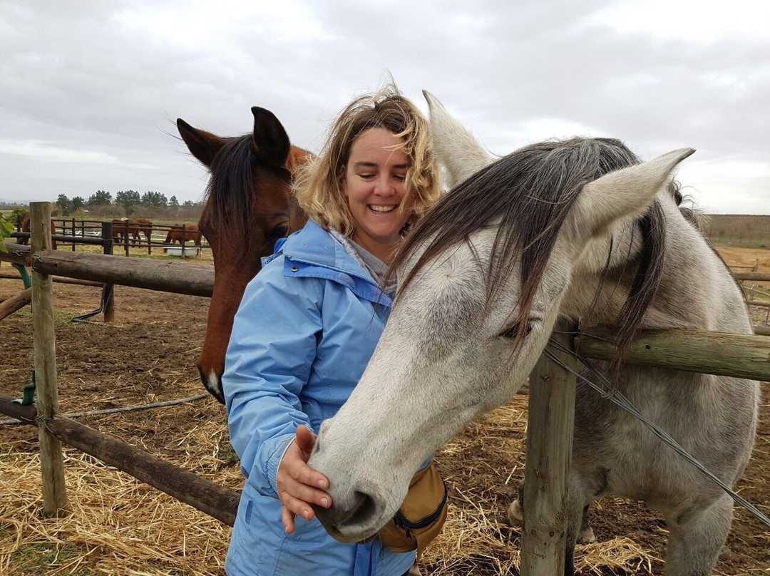 Ubuntu Horse Trails-斯泰伦博斯必去景点