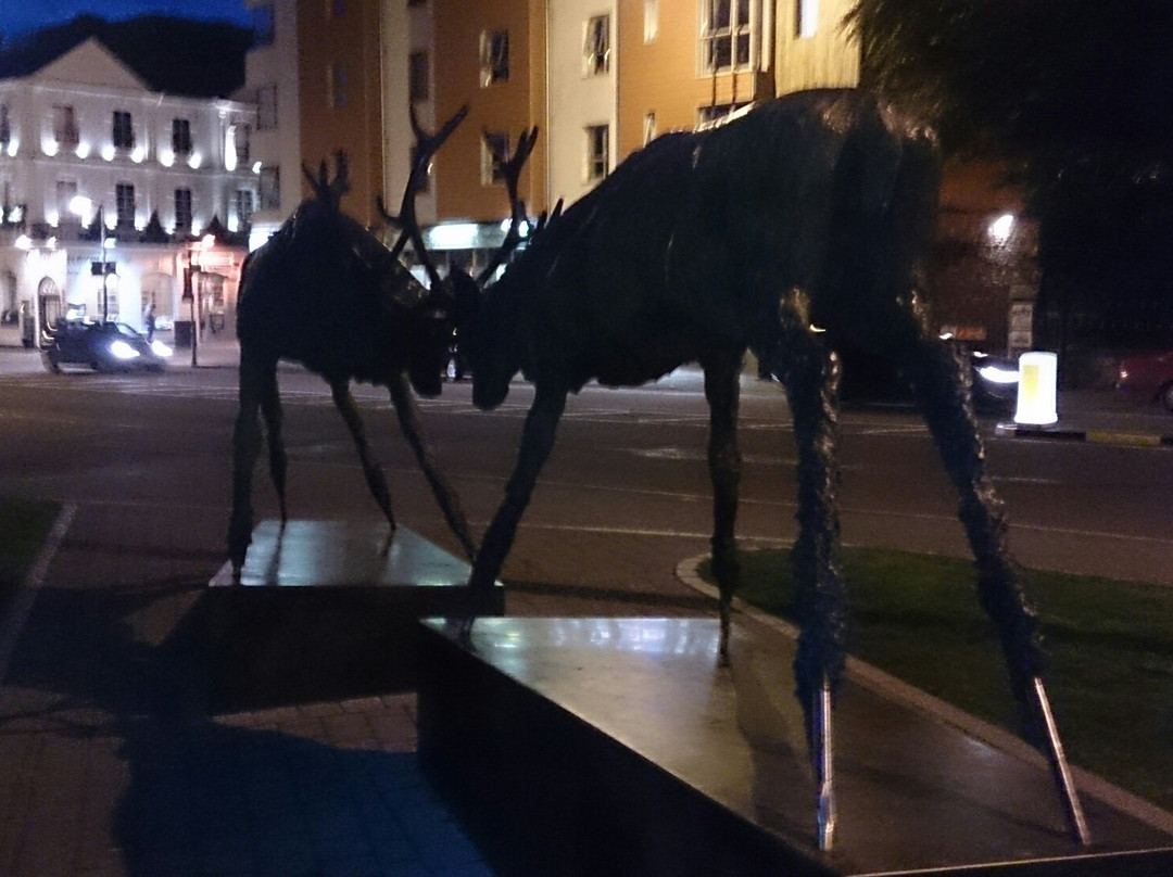 Courtney's Bar-基拉尼必去景点