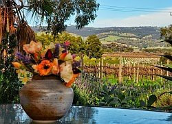 Linger Longer Vineyard主图