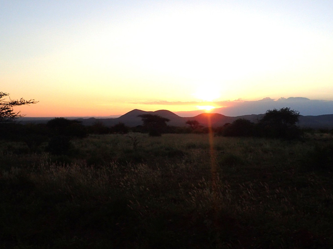 基拉库尼赛雷那野生动物园旅馆主图