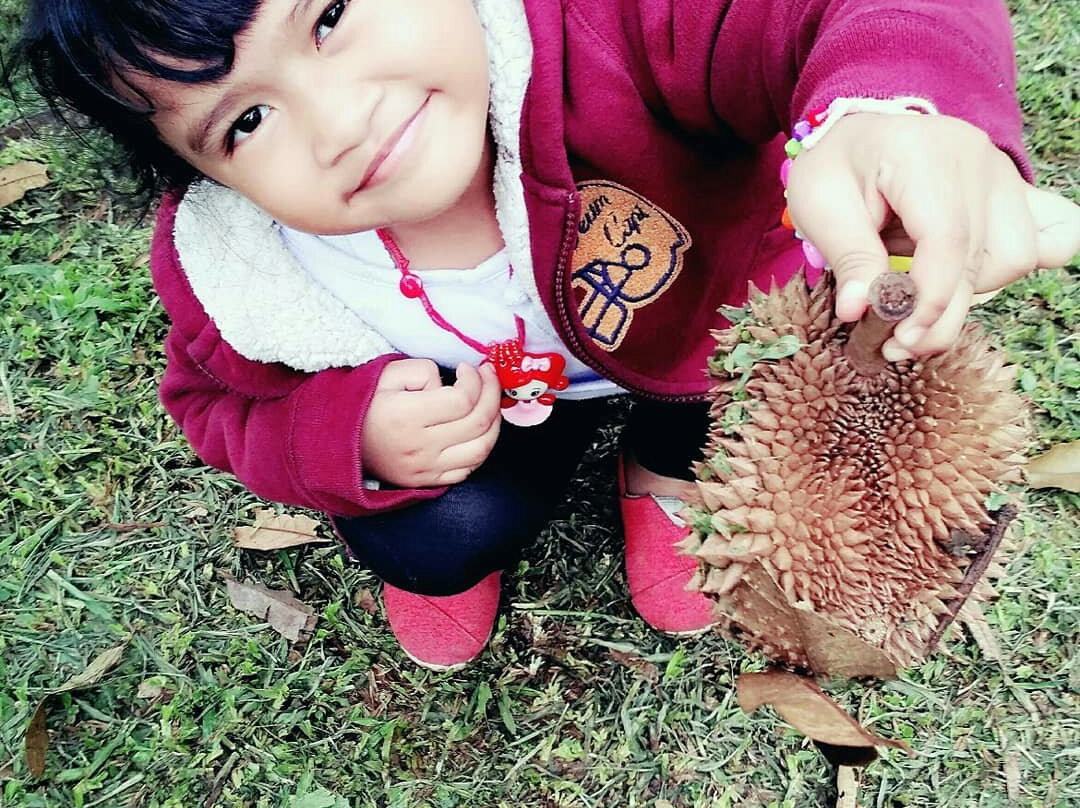Warso Durian Farm-茂物必去景点