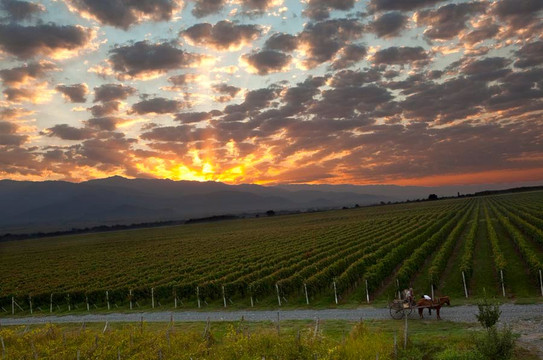 Hello Georgia-第比利斯必去景点