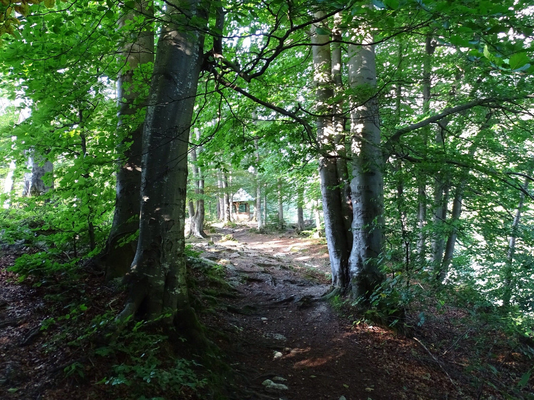 Stimmersee-Langkampfen必去景点