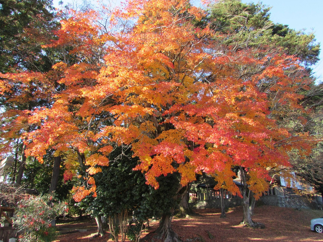 Kute Shrine-京丹波町必去景点