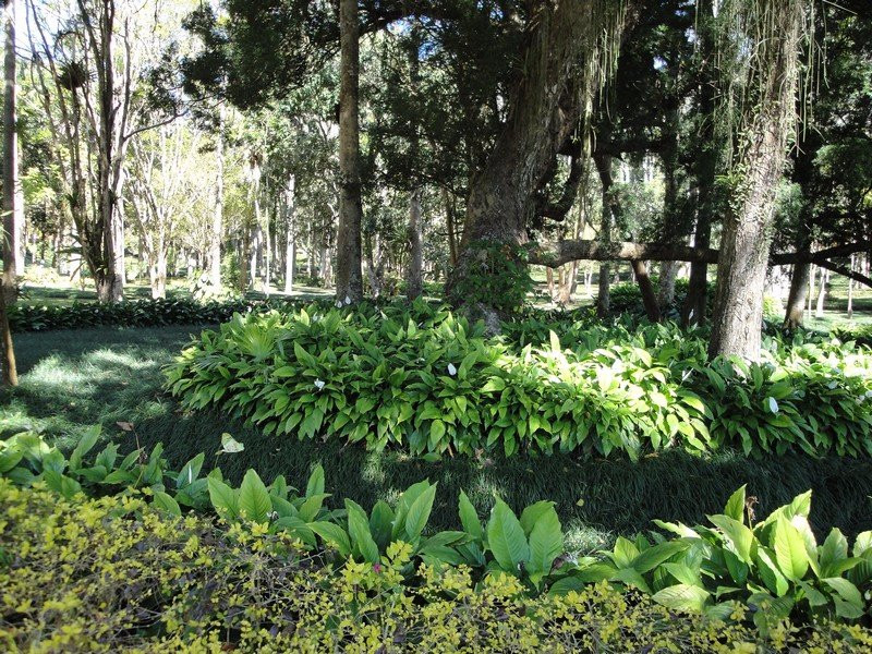 Fazenda do Secretario景点图片