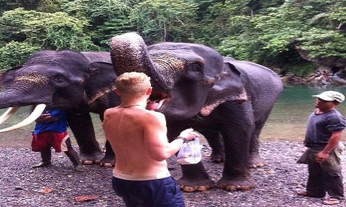 Sumatra Eco Adventure-武吉拉旺必去景点